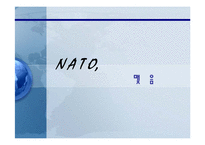 [국제기구] 집단안보와 NATO 나토-20
