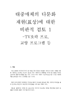 [다문화] 대중매체의 다문화 재현(표상)에 대한 비판적 검토 -TV오락 프로, 교양 프로그램 등-1