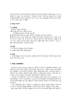 [다문화] 대중매체의 다문화 재현(표상)에 대한 비판적 검토 -TV오락 프로, 교양 프로그램 등-6