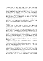 드라마 산업의 PBO조직과 인력모형-4