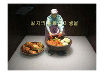 김치 김치의 발효와 미생물-1