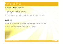 김치 김치의 발효와 미생물-6