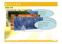 김치 김치의 발효와 미생물-7
