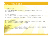 김치 김치의 발효와 미생물-12