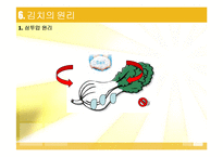 김치 김치의 발효와 미생물-13