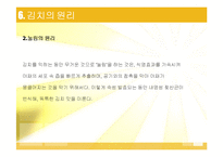 김치 김치의 발효와 미생물-14