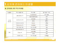 김치 김치의 발효와 미생물-17