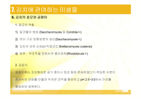 김치 김치의 발효와 미생물-19