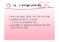 [복원생태학] 남산&한강의 외래식물-4