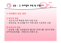 [복원생태학] 남산&한강의 외래식물-7
