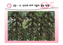 [복원생태학] 남산&한강의 외래식물-15