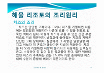 [조리원리] Salad & Seafood main-11