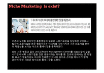 [벤처창업론] ㈜한국야쿠르트의 VIEVIS NAMUH병원 사업타당성 분석-13