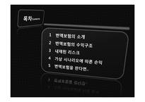 변액보험 레포트-2