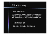 변액보험 레포트-4