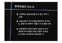변액보험 레포트-11