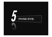 변액보험 레포트-20