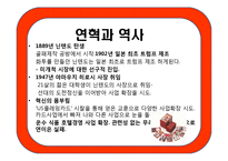 경영환경과 경영전략 -이랜드와 닌텐도 중심으로-4