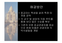 인도에서 바라본 한국의 미래-18