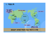 [다국적기업 경영론] 피앤지 P&G 분석 사례-5