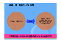 [다국적기업 경영론] 피앤지 P&G 분석 사례-8