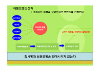 [다국적기업 경영론] 피앤지 P&G 분석 사례-20