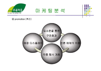 [소매업경영] 한겨레 초록마을 분석-11