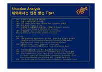 [광고홍보론] 타이거 맥주 Tiger Beer 온라인 PR 방안-7