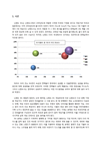 [경영정보처리] 한국에서 닌텐도 Wii의 매출을 올리기 위한 효과적인 의사결정-2