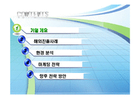 [국제마케팅] 하나코비 락앤락 해외 마케팅전략-3