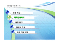 [국제마케팅] 하나코비 락앤락 해외 마케팅전략-6