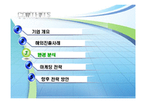 [국제마케팅] 하나코비 락앤락 해외 마케팅전략-13