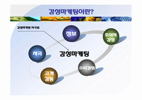 [마케팅] 감성마케팅의 원칙 & 사례-4