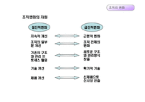 [경영조직론] 12장. 조직변화와 조직쇠퇴-9