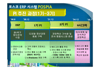 [전사적자원관리] 포스코 ERP 시스템 POSPIA-4