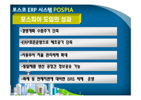[전사적자원관리] 포스코 ERP 시스템 POSPIA-9