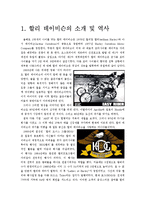 [광고학] 할리 데이비슨 광고와 문화마케팅-3