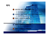성숙기와 쇠퇴기 시장의 마케팅전략-2