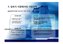 성숙기와 쇠퇴기 시장의 마케팅전략-10