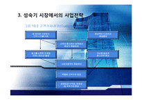 성숙기와 쇠퇴기 시장의 마케팅전략-11