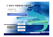 성숙기와 쇠퇴기 시장의 마케팅전략-13