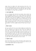 [IPv6, IPv6v표준화, IPv6v도입, IP주소, 인터넷, 차세대인터넷] 차세대인터넷의 등장 고찰과 IP주소의 고갈, IPv6의 특징 및 IPv6의 표준화 동향 그리고 IPv6의 도입 방향 심층 분석-6