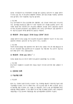 [IPv6, IPv6v표준화, IPv6v도입, IP주소, 인터넷, 차세대인터넷] 차세대인터넷의 등장 고찰과 IP주소의 고갈, IPv6의 특징 및 IPv6의 표준화 동향 그리고 IPv6의 도입 방향 심층 분석-9