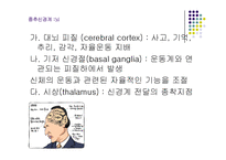 [간호학 건강 사정] 신경계 검진-4