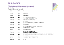 [간호학 건강 사정] 신경계 검진-7