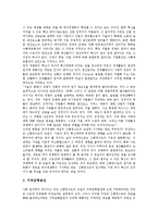 [신행정수도건설] 신행정수도건설(행정수도이전)의 이념과 논의, 신행정수도건설(행정수도이전)의 문제점과 주요 논점, 외국의 신행정수도건설(행정수도이전) 사례, 신행정수도건설(행정수도이전)의 추진 과제 분석-11