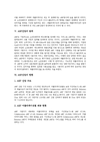 [ASP, ASP산업] ASP의 개념, ASP의 특성, ASP의 발전배경, ASP산업의 범위, ASP산업의 현황, 일본의 ASP산업 사례, ASP산업의 문제점과 대안, ASP산업의 전망 분석-6