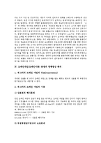 [도메인네임분쟁, 도메인이름분쟁] 도메인네임(도메인이름) 분쟁의 처리규칙상 법형식, 현행법상 해석과 도메인네임(도메인이름) 분쟁의 문제점 및 도메인네임(도메인이름) 분쟁의 해결책 분석(다양한 사례 중심)-4