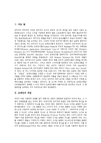 [도메인네임분쟁, 도메인이름분쟁, 도메인네임, 도메인] 도메인네임(도메인이름)의 운영원칙, 도메인네임(도메인이름) 관련 문제, 도메인네임(도메인이름) 관련 사례, 도메인네임(도메인이름) 관련 분쟁 해결책 분석-2