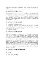 [도메인네임분쟁, 도메인이름분쟁, 도메인네임, 도메인] 도메인네임(도메인이름)의 운영원칙, 도메인네임(도메인이름) 관련 문제, 도메인네임(도메인이름) 관련 사례, 도메인네임(도메인이름) 관련 분쟁 해결책 분석-3